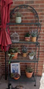 PXL_20260127_190628772.MP2_