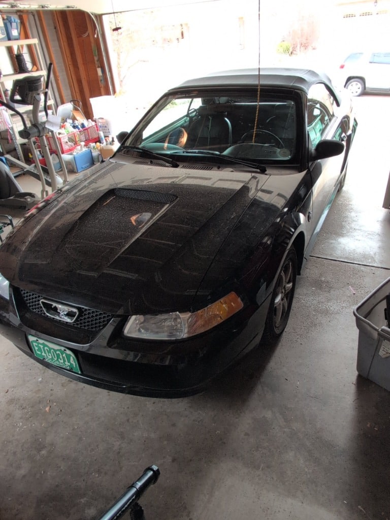 Highlands Ranch Mustang, Sewing Crafts, Antiques, Musical Instruments and more Blue Moon Estate Sale