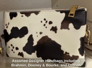 Assorted-Designer-Handbags-including-Brahmin-Dooney-Bourke-and-Ostrich-Leather-Bag-fifth-image