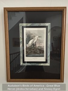 Audubons-Birds-of-America-Great-Blue-Heron-Ardea-herodias-and-Snowy-Egret-Ardea-candidissima-Lithographs-second-image