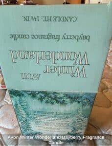 Avon-Winter-Wonderland-Bayberry-Fragrance-Candle