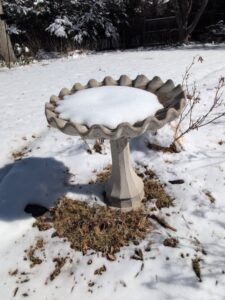 Concrete-Fluted-Bird-Bath