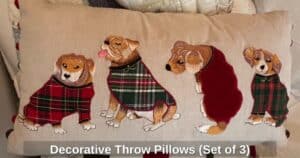 Decorative-Throw-Pillows-Set-of-third-image