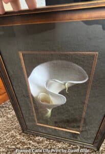 Framed-Calla-Lily-Print-by-David-Gille