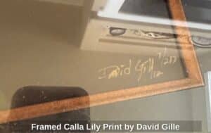 Framed-Calla-Lily-Print-by-David-Gille-second-image
