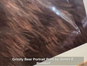 Grizzly-Bear-Portrait-Print-by-James-E.-Risedorf-second-image