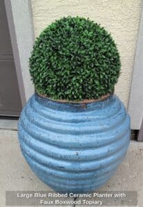 Large-Blue-Ribbed-Ceramic-Planter-with-Faux-Boxwood-Topiary