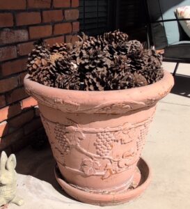 Large-Italian-Terracotta-Planter-with-Grapevine-Motif-and-Matching-Saucer