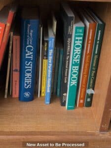 New-Asset-to-Be-Processed-AT