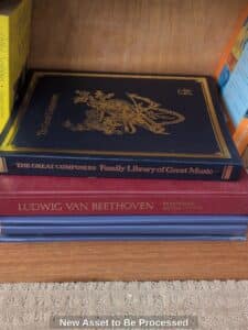 New-Asset-to-Be-Processed-AU-fifth-image