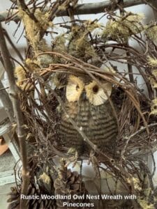 Rustic-Woodland-Owl-Nest-Wreath-with-Pinecones-second-image