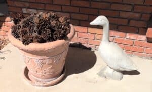 Terracotta-Planter-with-Grapevine-Motif-and-Pinecone-Filler-Concrete-Goose-Statue