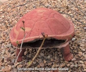 Terracotta-Turtle-Garden-Statue