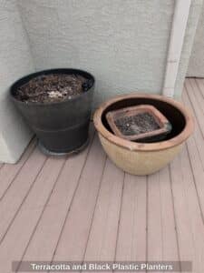 Terracotta-and-Black-Plastic-Planters
