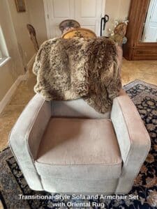 Transitional-Style-Sofa-and-Armchair-Set-with-Oriental-Rug-second-image