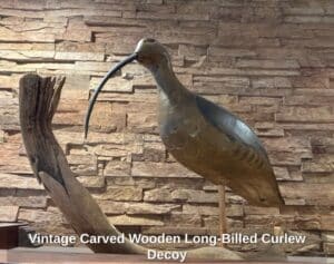 Vintage-Carved-Wooden-Long-Billed-Curlew-Decoy