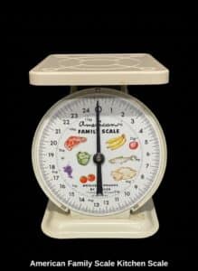 American-Family-Scale-Kitchen-Scale