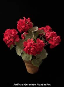 Artificial-Geranium-Plant-in-Pot