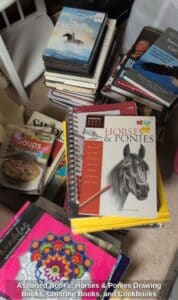 Assorted-Books-Horses-Ponies-Drawing-Books-Coloring-Books-and-Cookbooks