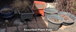 Assorted-Plant-Pots