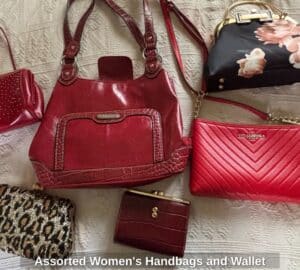 Assorted-Womens-Handbags-and-Wallet-1