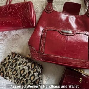 Assorted-Womens-Handbags-and-Wallet-third-image-1
