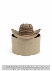 Assorted-Womens-Hats-and-Western-Style-Hat-including-Mallory-Hats-second-image