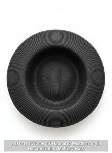 Assorted-Womens-Hats-and-Western-Style-Hat-including-Mallory-Hats-sixth-image