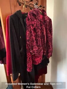 Assorted-Womens-Outerwear-and-Tops-with-Fur-Collars-fifth-image-1