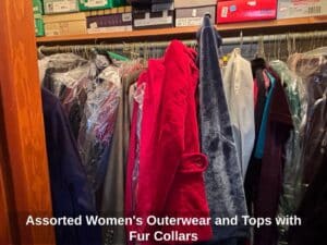Assorted-Womens-Outerwear-and-Tops-with-Fur-Collars-third-image-1