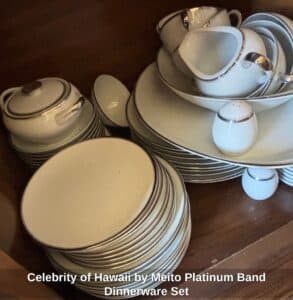 Celebrity-of-Hawaii-by-Meito-Platinum-Band-Dinnerware-Set