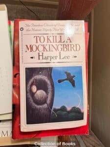 Collection-of-Books-second-image