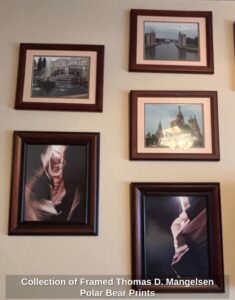 Collection-of-Framed-Thomas-D.-Mangelsen-Polar-Bear-Prints