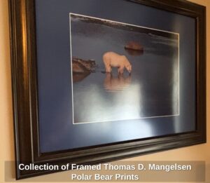 Collection-of-Framed-Thomas-D.-Mangelsen-Polar-Bear-Prints-fifth-image