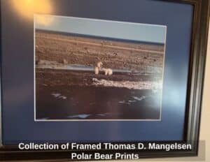 Collection-of-Framed-Thomas-D.-Mangelsen-Polar-Bear-Prints-fourth-image
