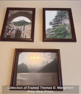 Collection-of-Framed-Thomas-D.-Mangelsen-Polar-Bear-Prints-second-image