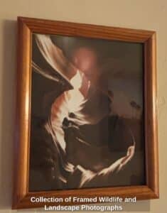 Collection-of-Framed-Wildlife-and-Landscape-Photographs-fifth-image