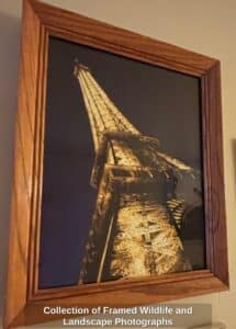 Collection-of-Framed-Wildlife-and-Landscape-Photographs-fourth-image