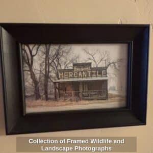 Collection-of-Framed-Wildlife-and-Landscape-Photographs-sixth-image