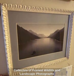 Collection-of-Framed-Wildlife-and-Landscape-Photographs-third-image