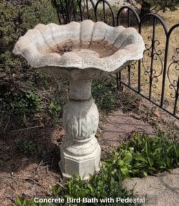 Concrete-Bird-Bath-with-Pedestal