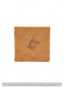 Decorative-Petrified-Wood-Display-Stand-second-image