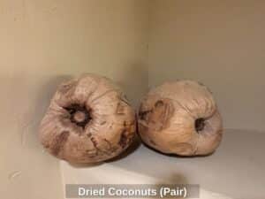 Dried-Coconuts-Pair