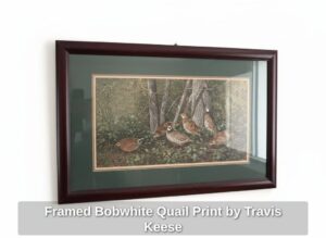 Framed-Bobwhite-Quail-Print-by-Travis-Keese