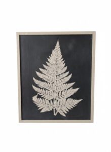 Framed-Fern-Silhouette-Print