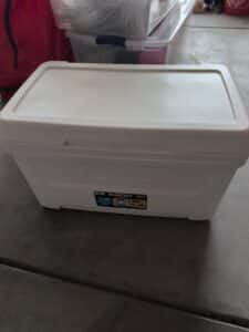 Igloo-Laguna-Quart-Cooler