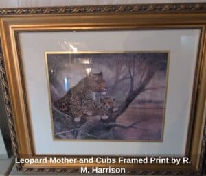 Leopard-Mother-and-Cubs-Framed-Print-by-R.-M.-Harrison