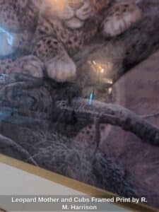 Leopard-Mother-and-Cubs-Framed-Print-by-R.-M.-Harrison-second-image
