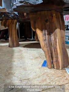 Live-Edge-Wood-Coffee-Table-with-Tree-Trunk-Base