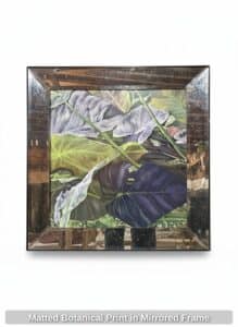 Matted-Botanical-Print-in-Mirrored-Frame